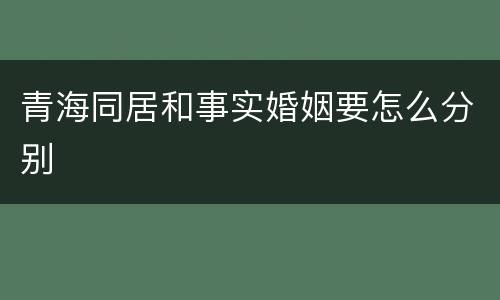 青海同居和事实婚姻要怎么分别