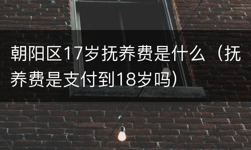 朝阳区17岁抚养费是什么（抚养费是支付到18岁吗）
