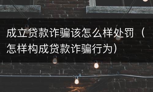 成立贷款诈骗该怎么样处罚（怎样构成贷款诈骗行为）