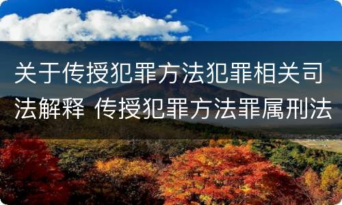 关于传授犯罪方法犯罪相关司法解释 传授犯罪方法罪属刑法规定的