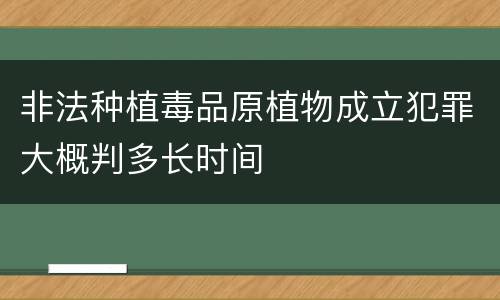 非法种植毒品原植物成立犯罪大概判多长时间