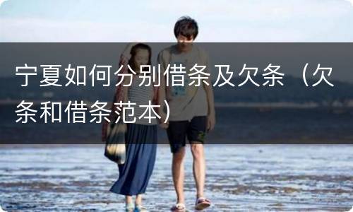 宁夏如何分别借条及欠条（欠条和借条范本）