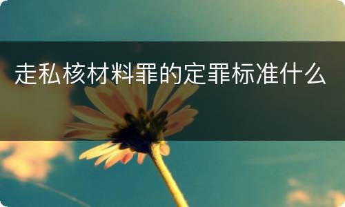 走私核材料罪的定罪标准什么