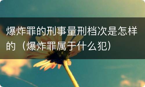 爆炸罪的刑事量刑档次是怎样的（爆炸罪属于什么犯）