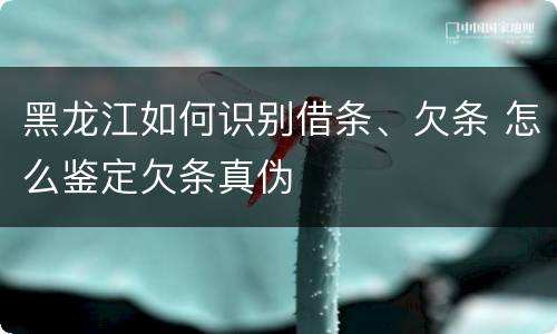 黑龙江如何识别借条、欠条 怎么鉴定欠条真伪