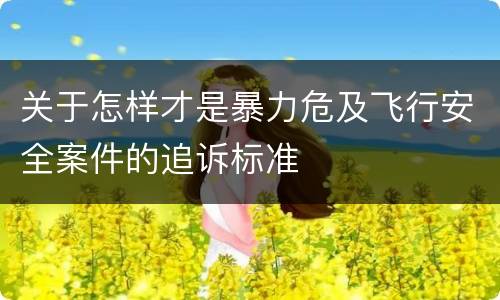 关于怎样才是暴力危及飞行安全案件的追诉标准