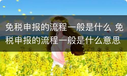 免税申报的流程一般是什么 免税申报的流程一般是什么意思