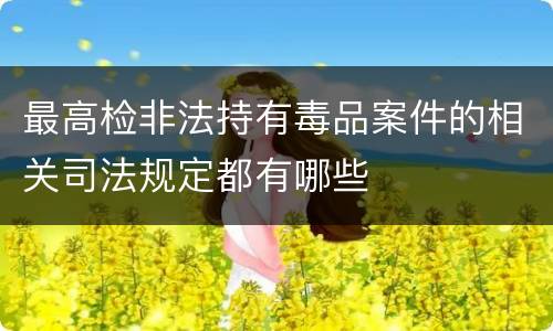 最高检非法持有毒品案件的相关司法规定都有哪些