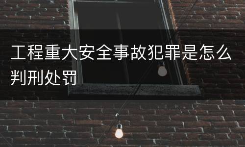 工程重大安全事故犯罪是怎么判刑处罚