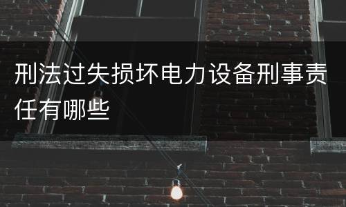 刑法过失损坏电力设备刑事责任有哪些