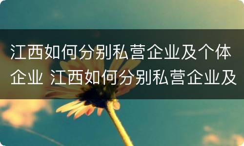江西如何分别私营企业及个体企业 江西如何分别私营企业及个体企业呢
