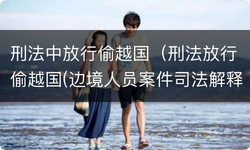 刑法中放行偷越国（刑法放行偷越国(边境人员案件司法解释会如何规定）