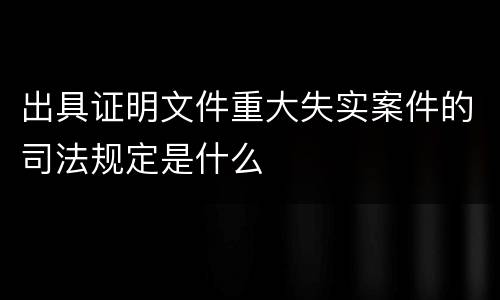 出具证明文件重大失实案件的司法规定是什么