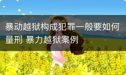暴动越狱构成犯罪一般要如何量刑 暴力越狱案例