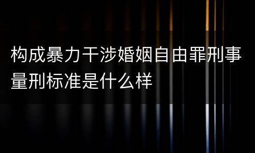构成暴力干涉婚姻自由罪刑事量刑标准是什么样
