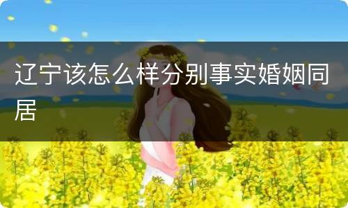 辽宁该怎么样分别事实婚姻同居