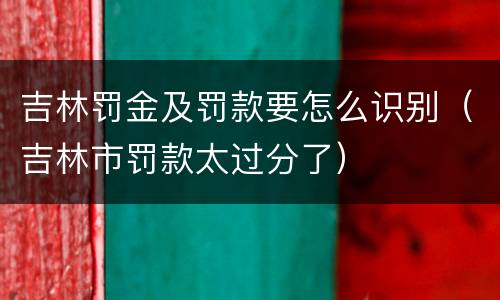 吉林罚金及罚款要怎么识别（吉林市罚款太过分了）