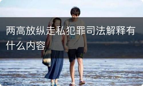 两高放纵走私犯罪司法解释有什么内容