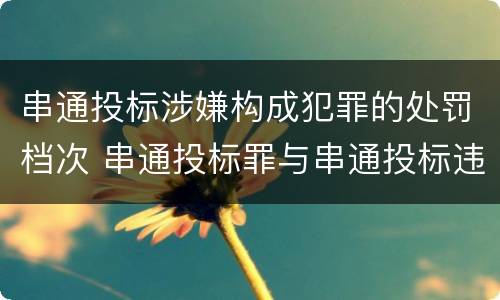 串通投标涉嫌构成犯罪的处罚档次 串通投标罪与串通投标违法行为的界限