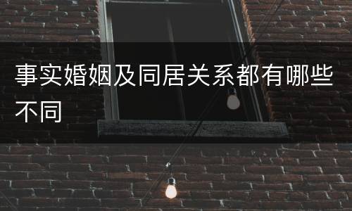 事实婚姻及同居关系都有哪些不同