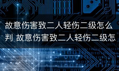 故意伤害致二人轻伤二级怎么判 故意伤害致二人轻伤二级怎么判