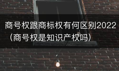 商号权跟商标权有何区别2022（商号权是知识产权吗）