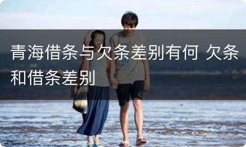 青海借条与欠条差别有何 欠条和借条差别