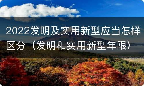 2022发明及实用新型应当怎样区分（发明和实用新型年限）