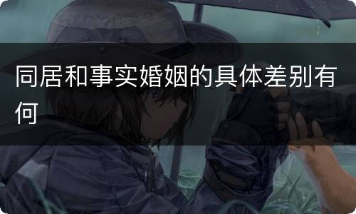 同居和事实婚姻的具体差别有何