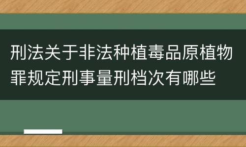 刑法关于非法种植毒品原植物罪规定刑事量刑档次有哪些