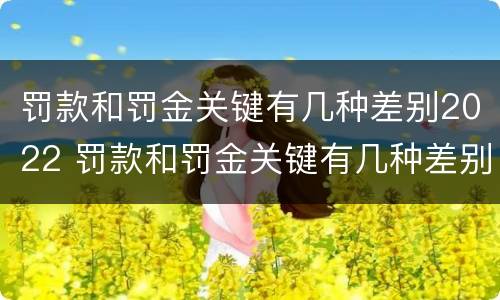 罚款和罚金关键有几种差别2022 罚款和罚金关键有几种差别2022怎么算