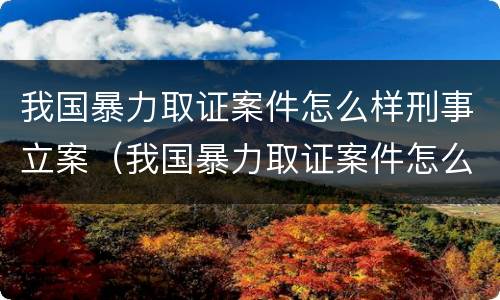 我国暴力取证案件怎么样刑事立案（我国暴力取证案件怎么样刑事立案）