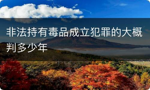 非法持有毒品成立犯罪的大概判多少年