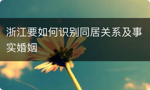 浙江要如何识别同居关系及事实婚姻