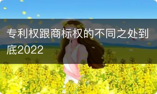 专利权跟商标权的不同之处到底2022