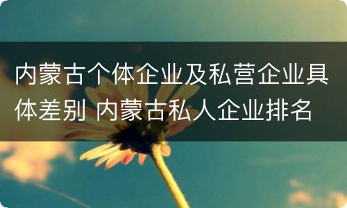 内蒙古个体企业及私营企业具体差别 内蒙古私人企业排名