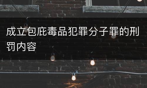 成立包庇毒品犯罪分子罪的刑罚内容