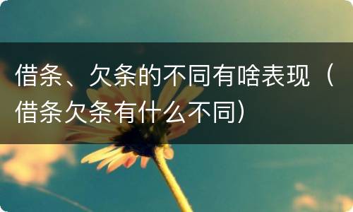 借条、欠条的不同有啥表现（借条欠条有什么不同）