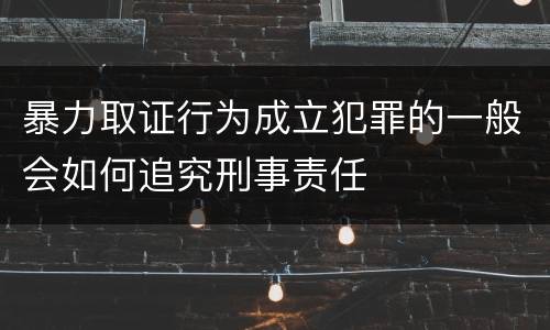 暴力取证行为成立犯罪的一般会如何追究刑事责任