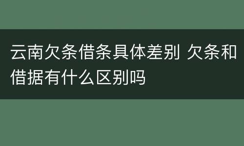 云南欠条借条具体差别 欠条和借据有什么区别吗