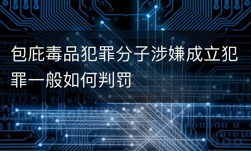 包庇毒品犯罪分子涉嫌成立犯罪一般如何判罚