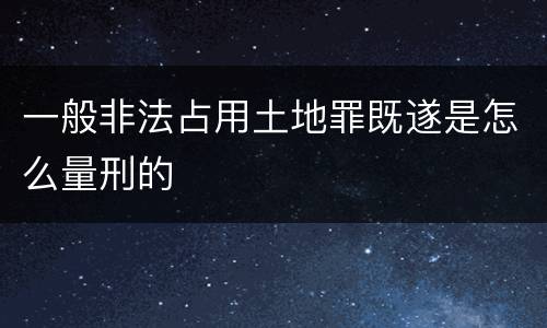 一般非法占用土地罪既遂是怎么量刑的