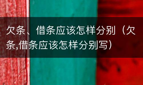 欠条、借条应该怎样分别（欠条,借条应该怎样分别写）