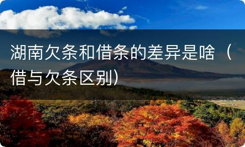 湖南欠条和借条的差异是啥（借与欠条区别）