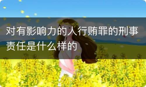 对有影响力的人行贿罪的刑事责任是什么样的