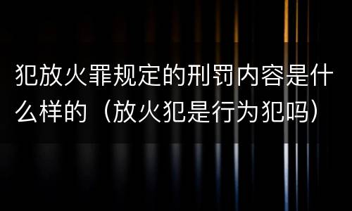 犯放火罪规定的刑罚内容是什么样的（放火犯是行为犯吗）