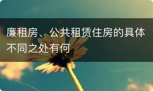 廉租房、公共租赁住房的具体不同之处有何