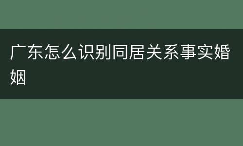 广东怎么识别同居关系事实婚姻