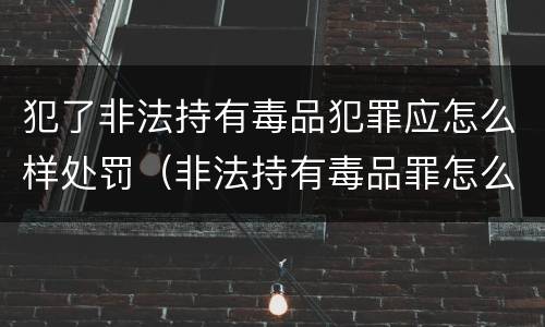 犯了非法持有毒品犯罪应怎么样处罚（非法持有毒品罪怎么量刑）