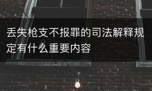 丢失枪支不报罪的司法解释规定有什么重要内容